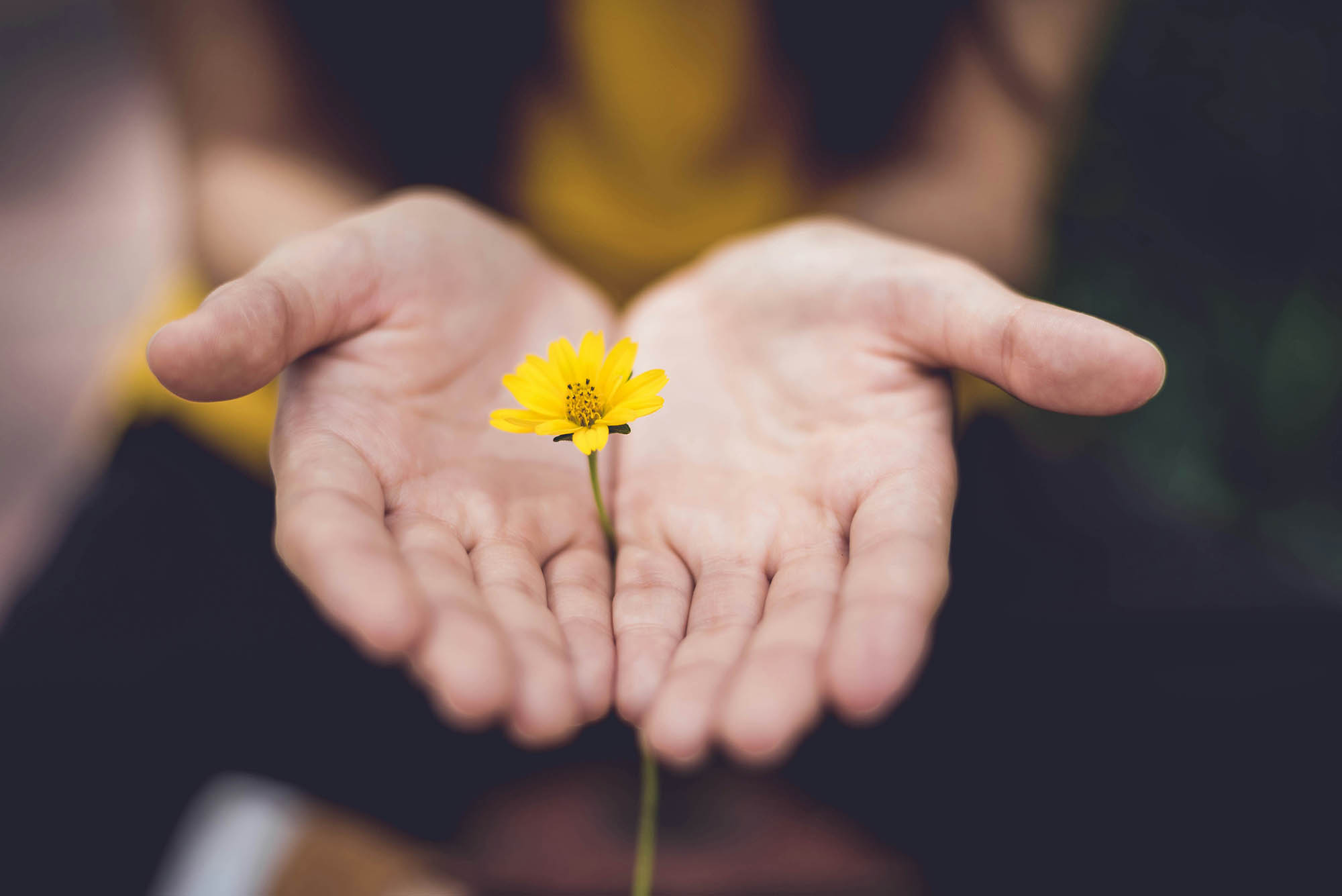 Person-Centered Counselling